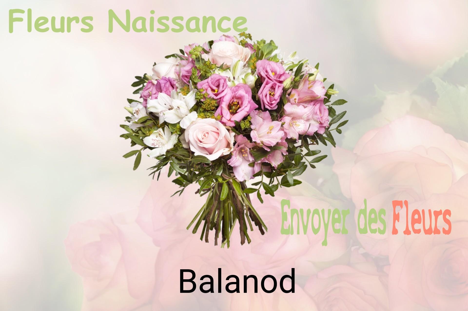 Bouquet de fleurs de naissance livré à Balanod