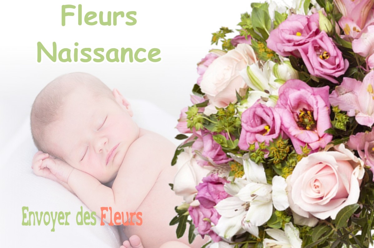 lIVRAISON FLEURS NAISSANCE à BALANOD